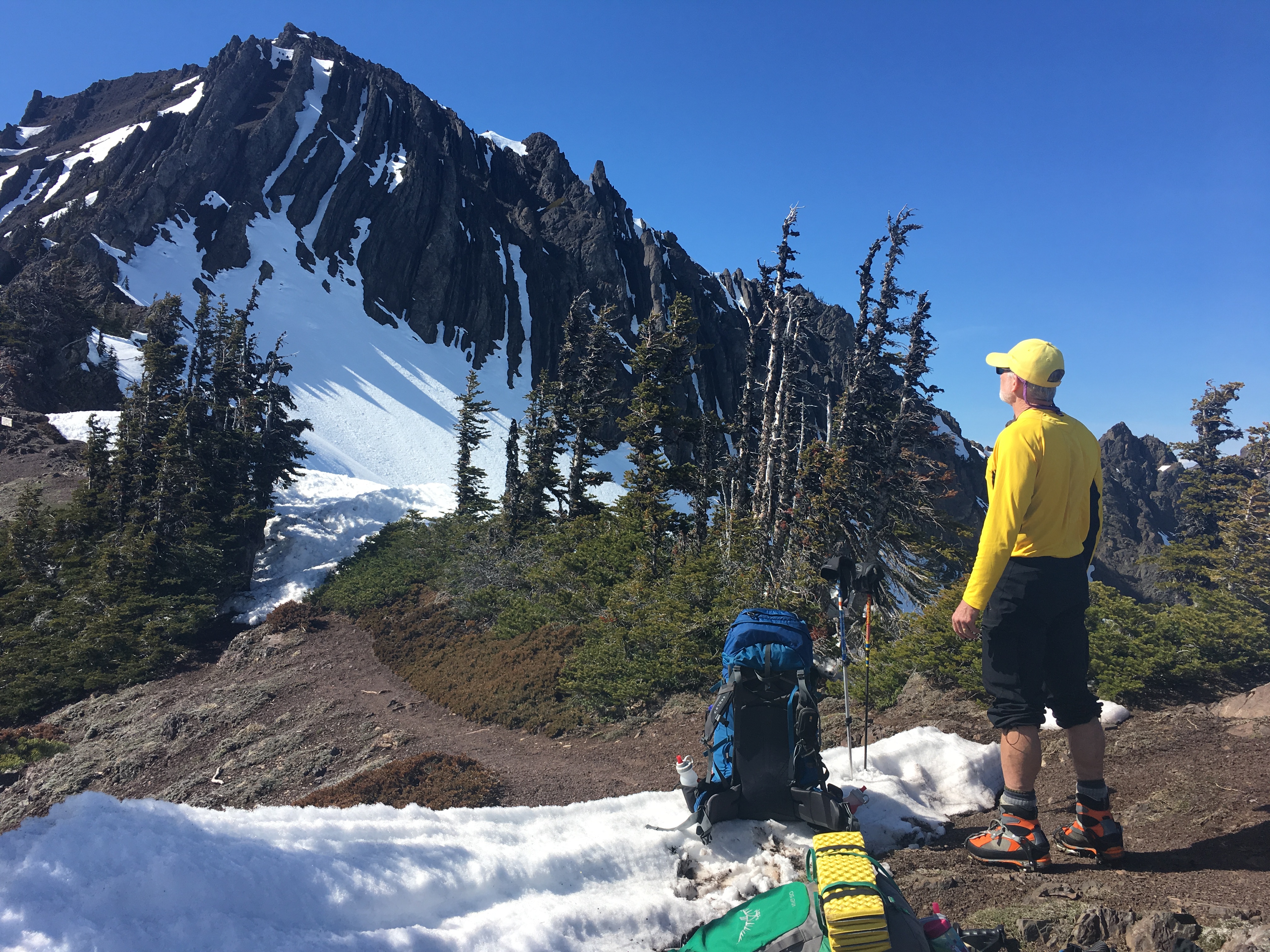 Switchback trail hotsell olympic national park